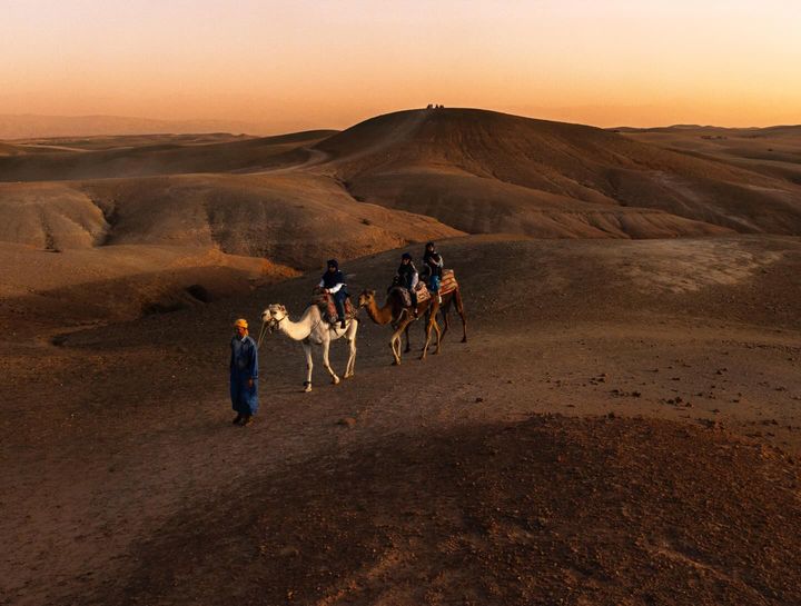 Desert Camel Trek