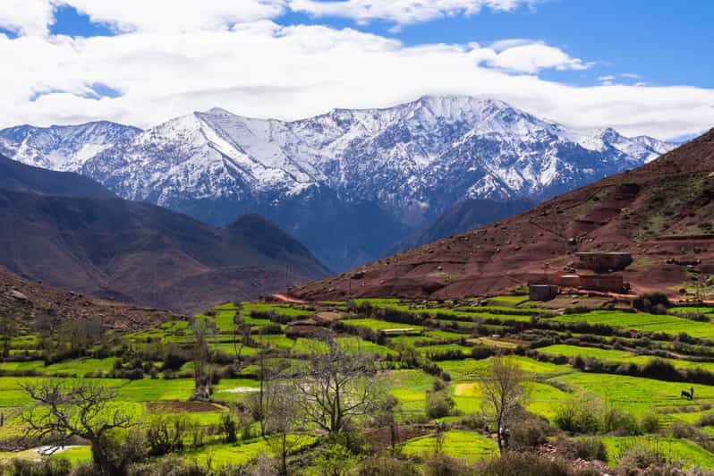 Atlas Mountains